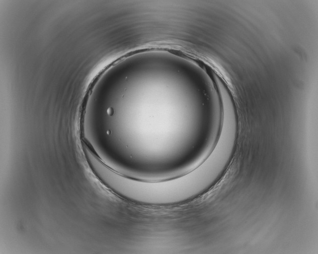 X0000113140952200909041206