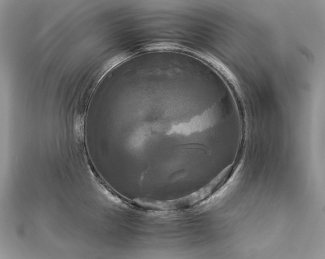 X0000113140953200909041206