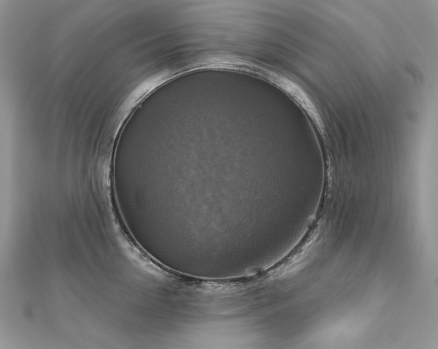 X0000113140954200909041206