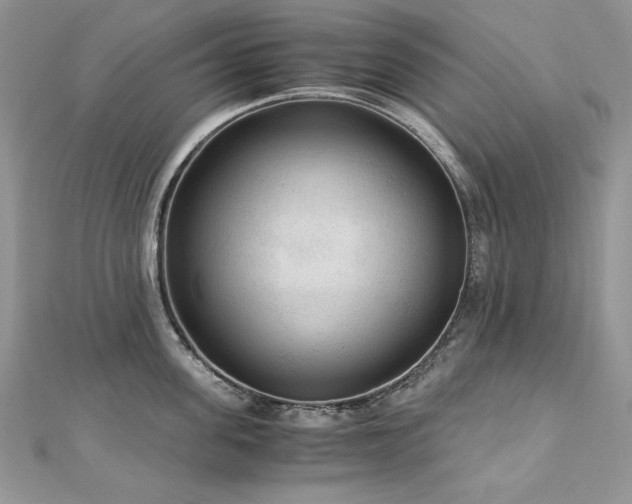 X0000113140955200909041206