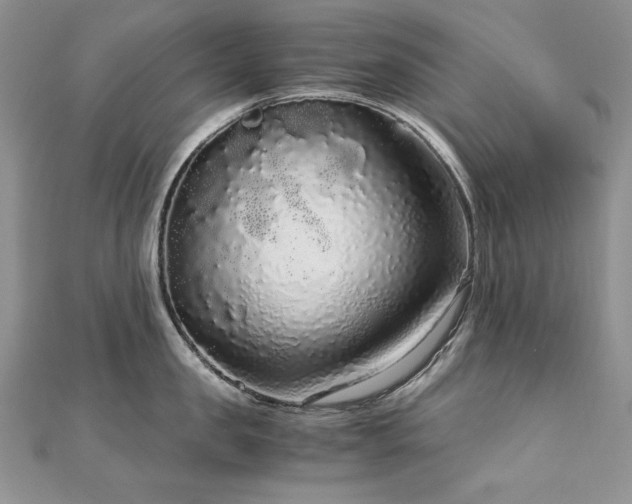 X0000113140957200909041206