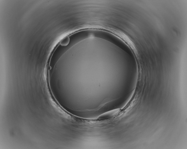 X0000113140958200909041206