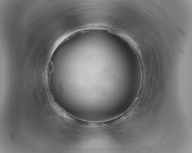 X0000113140960200909041206