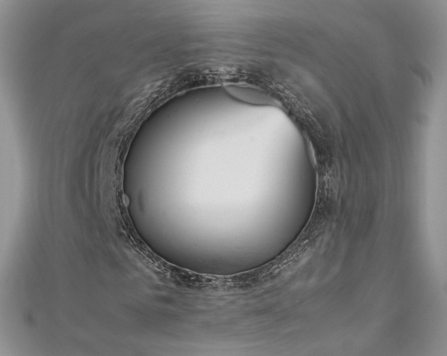 X0000113140961200909041205