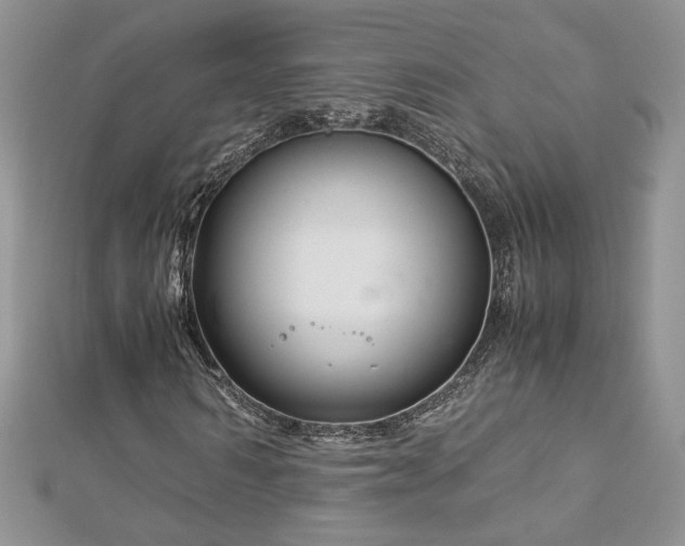 X0000113140962200909041205