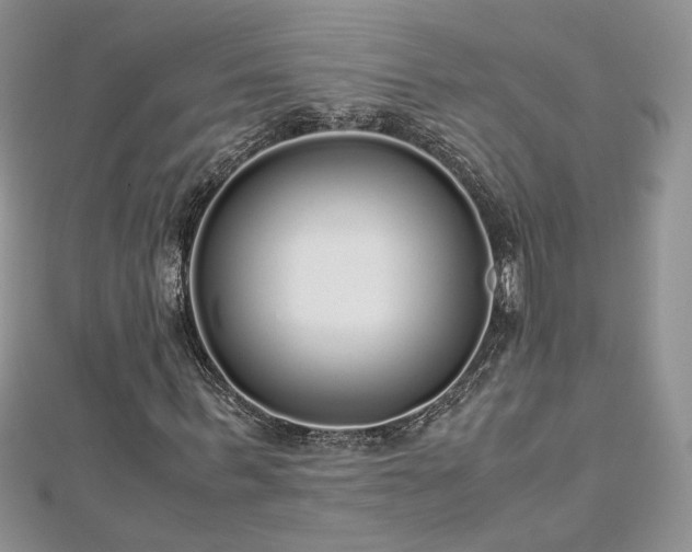 X0000113140963200909041205