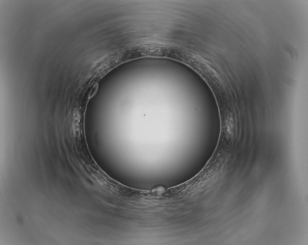 X0000113140964200909041205