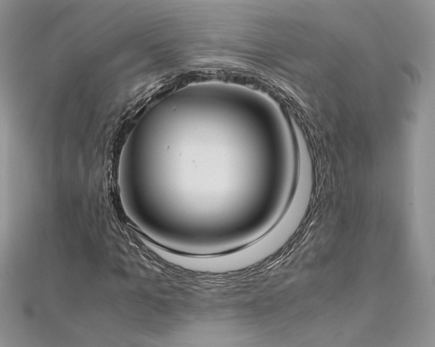 X0000113140965200909041205