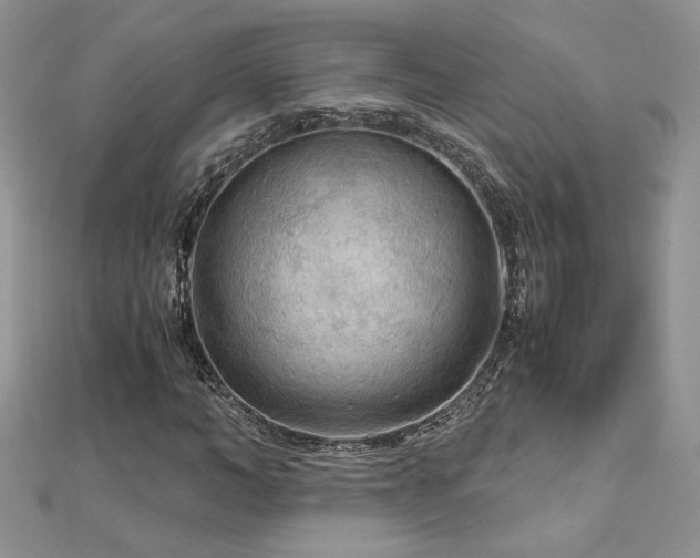 X0000113140966200909041205