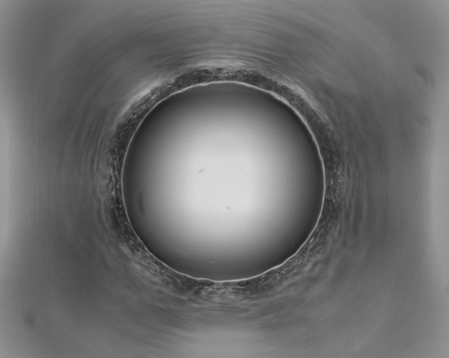 X0000113140967200909041205