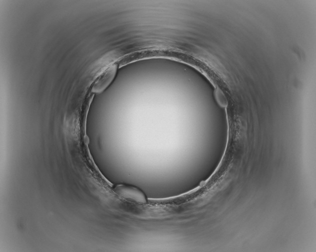 X0000113140969200909041205
