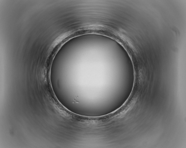 X0000113140970200909041205