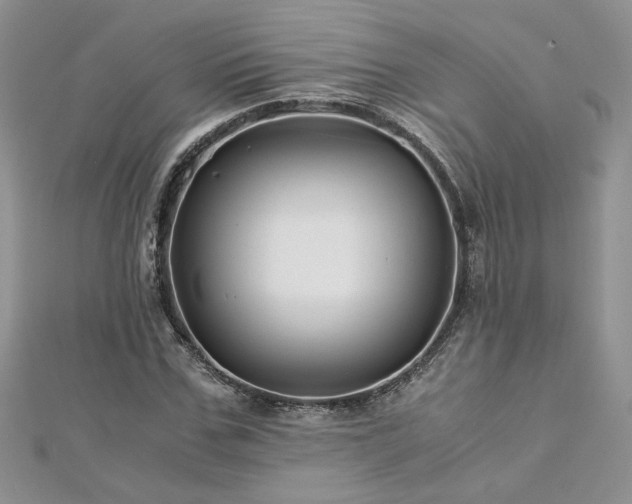 X0000113140971200909041205