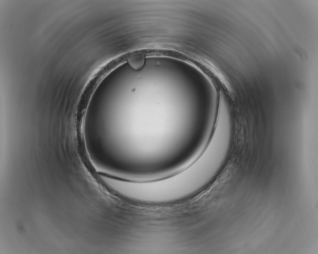 X0000113140972200909041205
