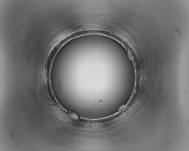 X0000113140973200909041205