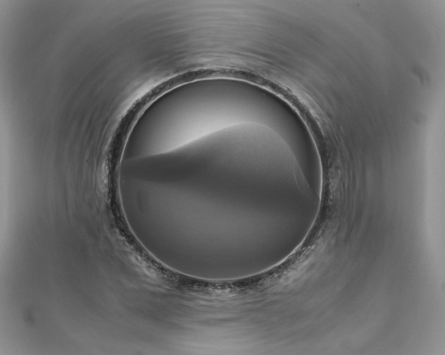 X0000113140975200909041205