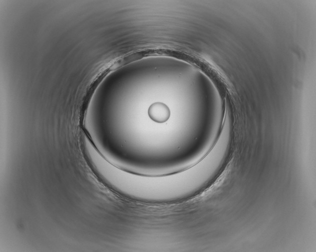 X0000113140977200909041205