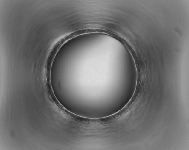X0000113140979200909041205