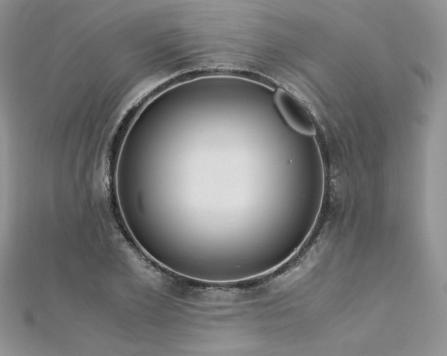 X0000113140981200909041205