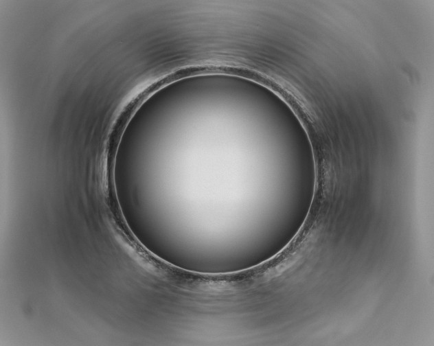 X0000113140982200909041205