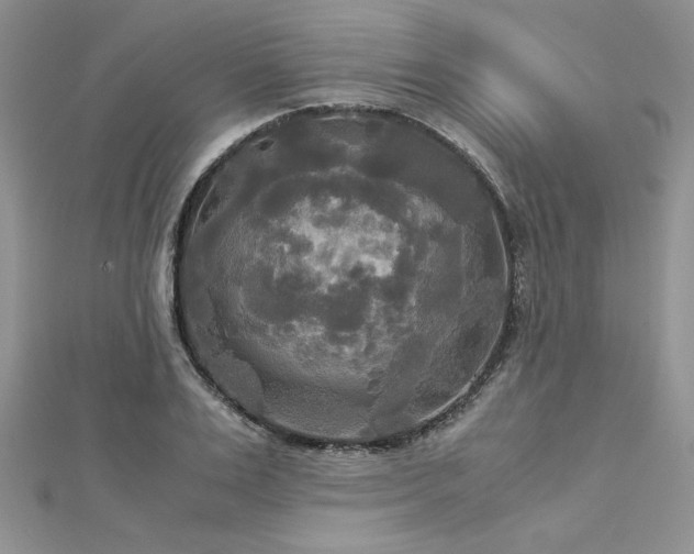 X0000113140983200909041205