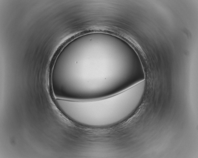 X0000113140984200909041205