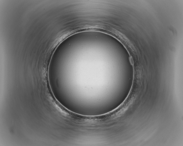 X0000113140985200909041205