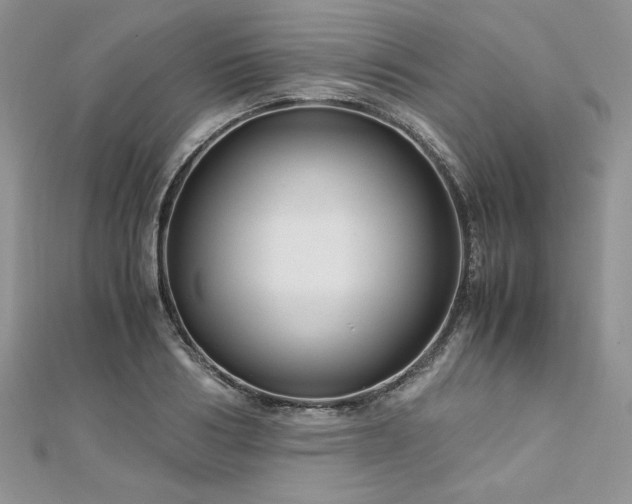 X0000113140986200909041205