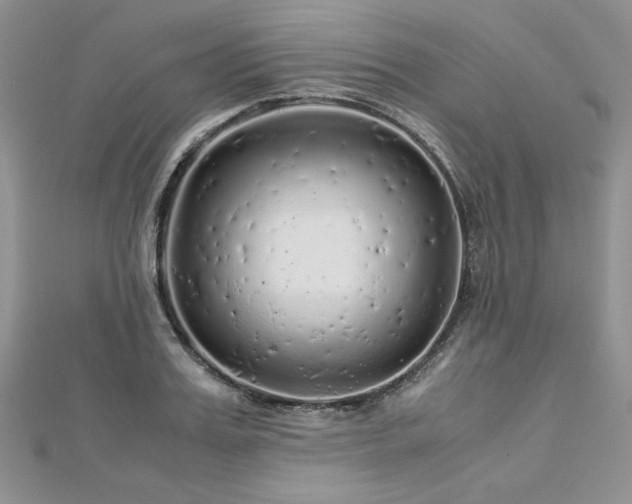 X0000113140987200909041205