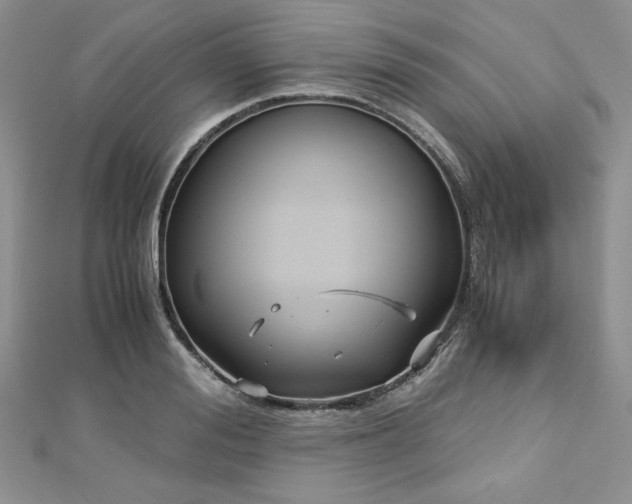 X0000113140988200909041205
