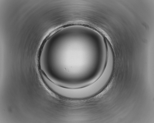 X0000113140989200909041205