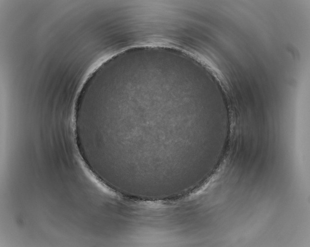 X0000113140990200909041205