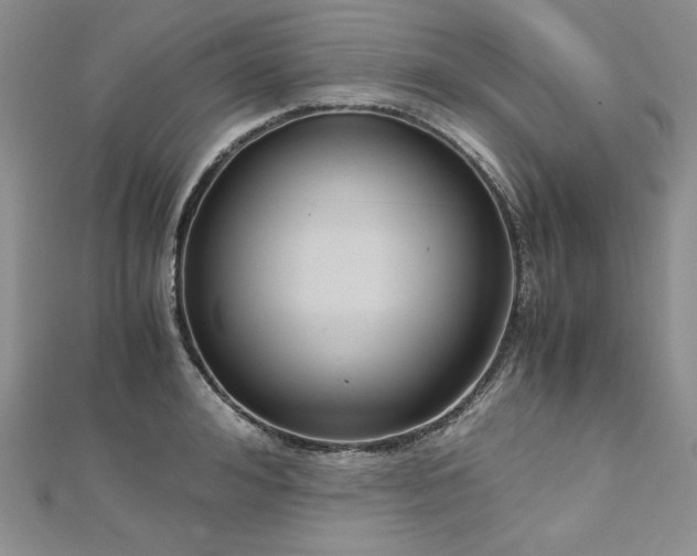 X0000113140992200909041205