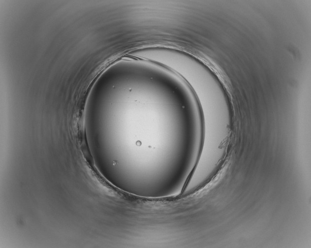 X0000113140993200909041205
