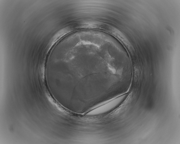 X0000113140994200909041205