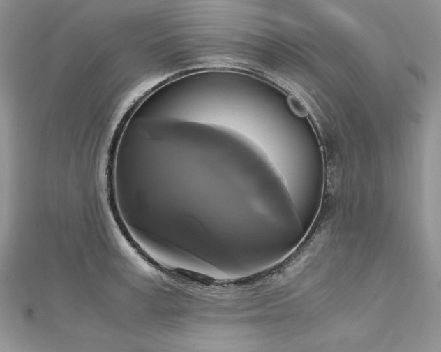 X0000113140995200909041205