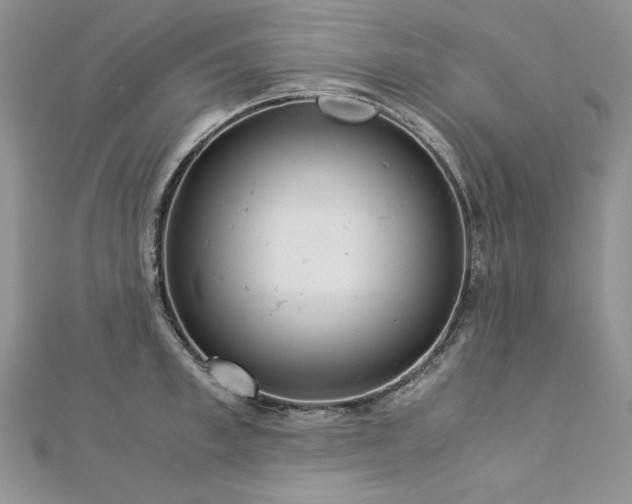 X0000113140997200909041205