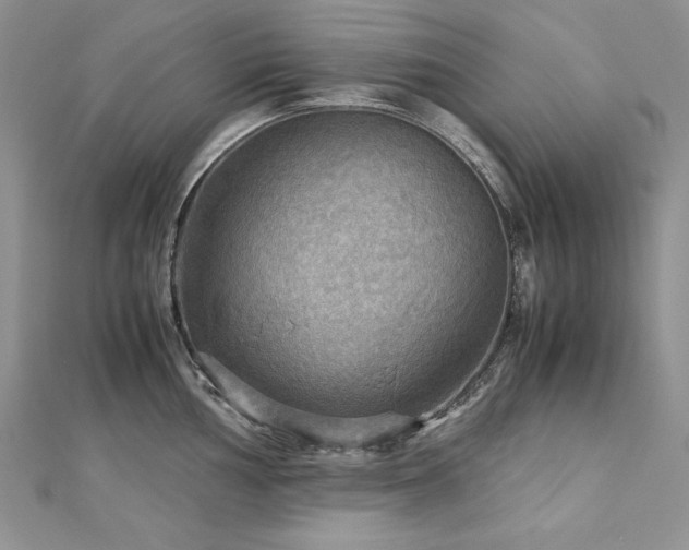X0000113141002200909041205