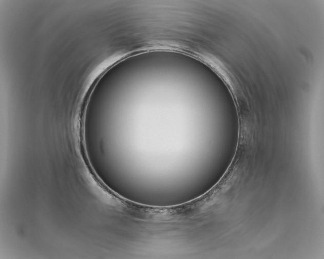 X0000113141003200909041205