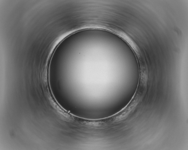 X0000113141004200909041205