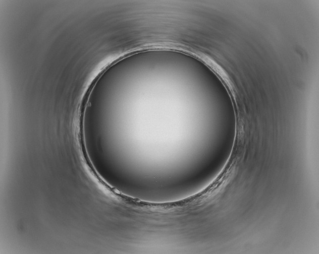 X0000113141005200909041205