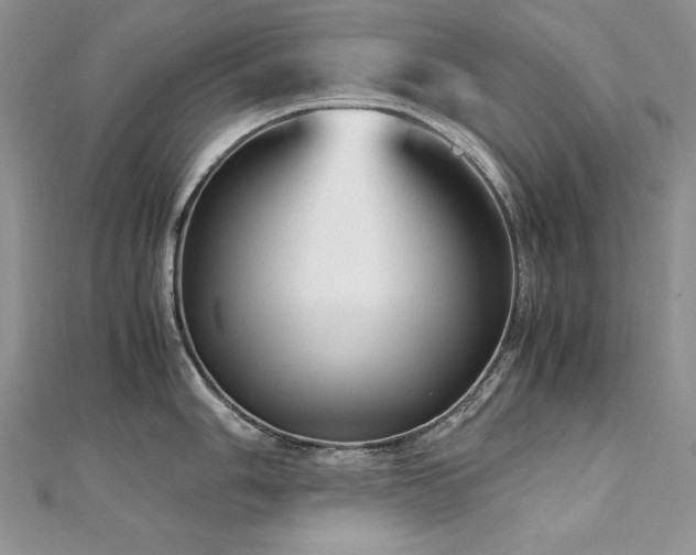 X0000113141006200909041205