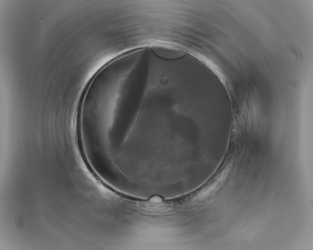 X0000113141007200909041205