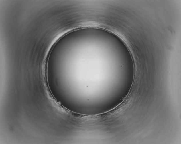 X0000113141008200909041205