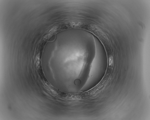 X0000113141011200909041204
