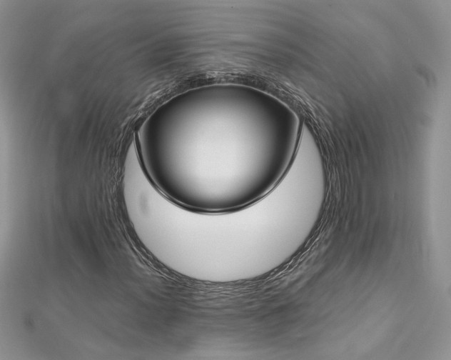 X0000113141012200909041204