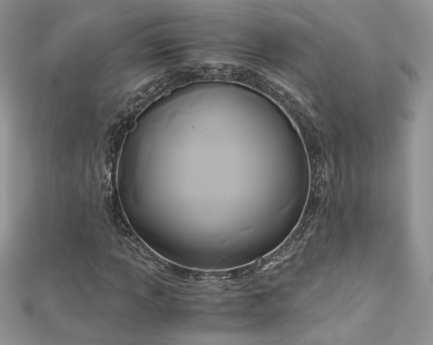 X0000113141013200909041204