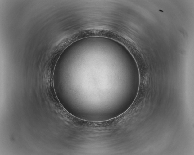 X0000113141014200909041204