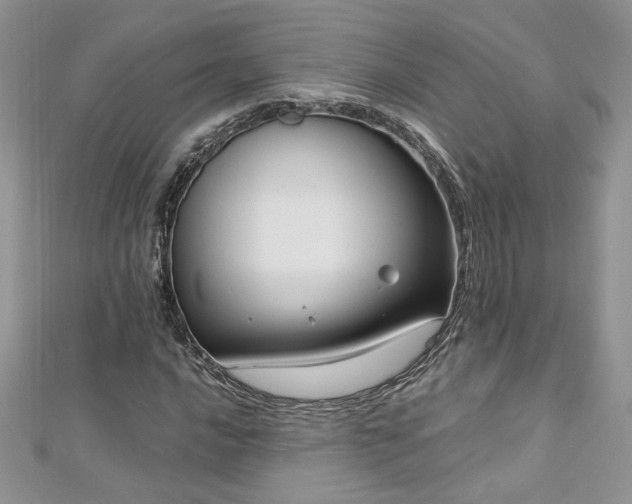X0000113141016200909041204