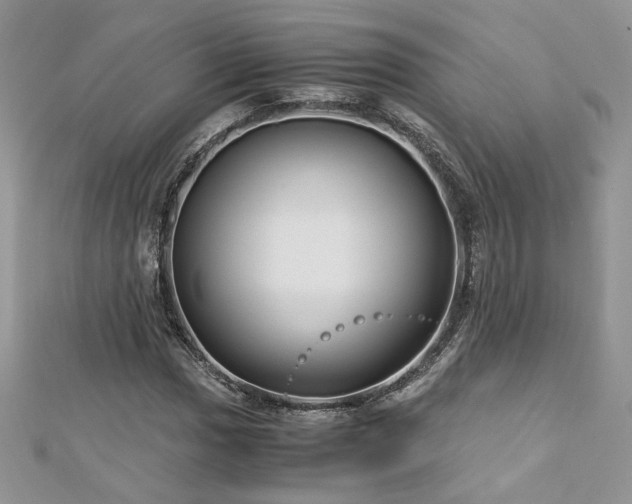 X0000113141017200909041204